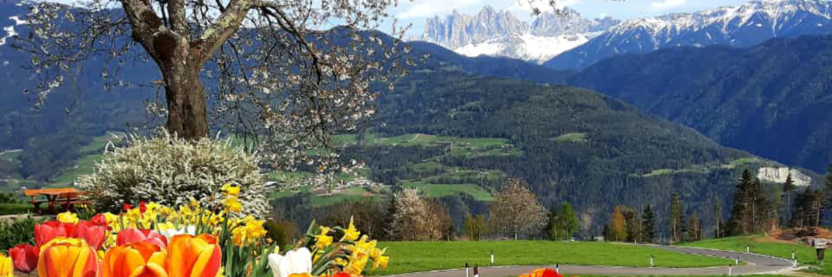 Frühjahr in Südtirol...
